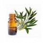 DERMAFIG HUILE ESSENTIELLE ARBRE A THE 10 ML