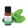 ALMAFLORE HUILE ESSENTIELLE MENTHE POIVRE 10ML