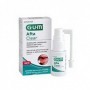 GUM AFTA CLEAR SPRAY BUCCAL ,15ML